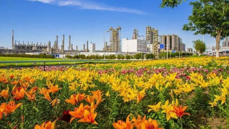 广州表面活性剂原料供应商：揭秘表面活性剂的选择与应用
